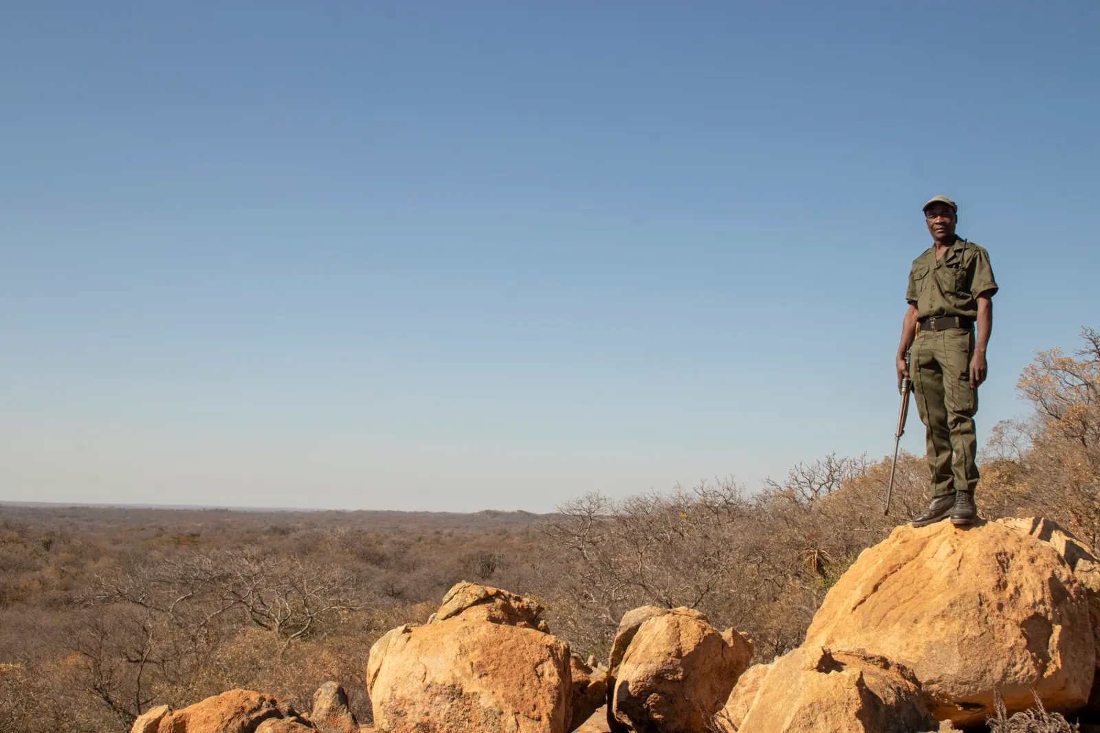 A scout standing on a granite outcrop looking out over the reserve