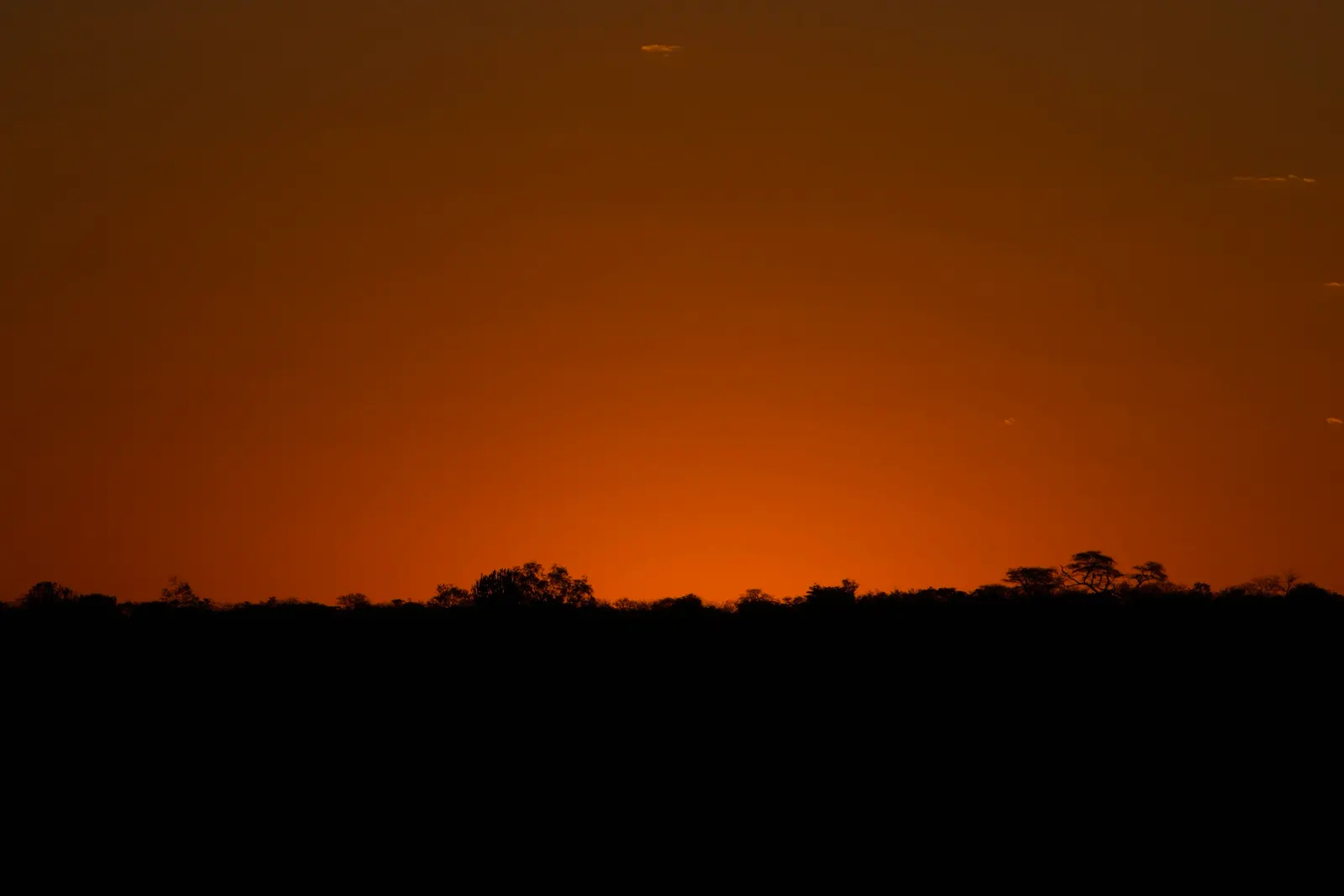 Trees in silhouette against an orange sky at sunset over the Khami reserve