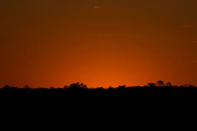 Trees in silhouette against an orange sky at sunset over the reserve