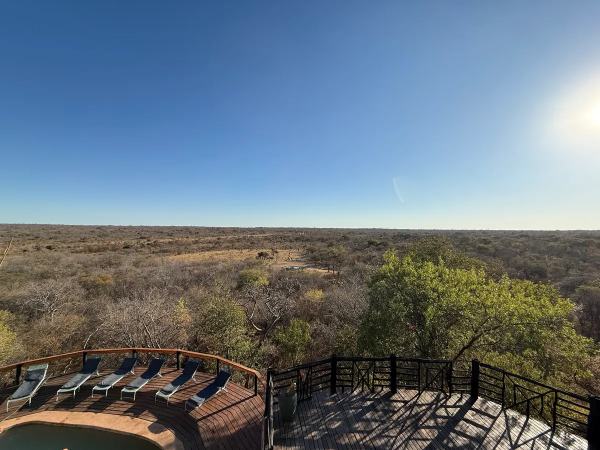 The pool deck at golden hour, looking out over the reserve